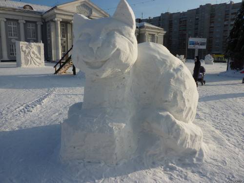 Кот