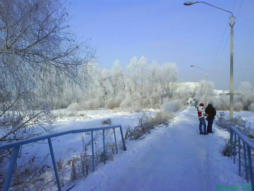 У р. Чесноковки